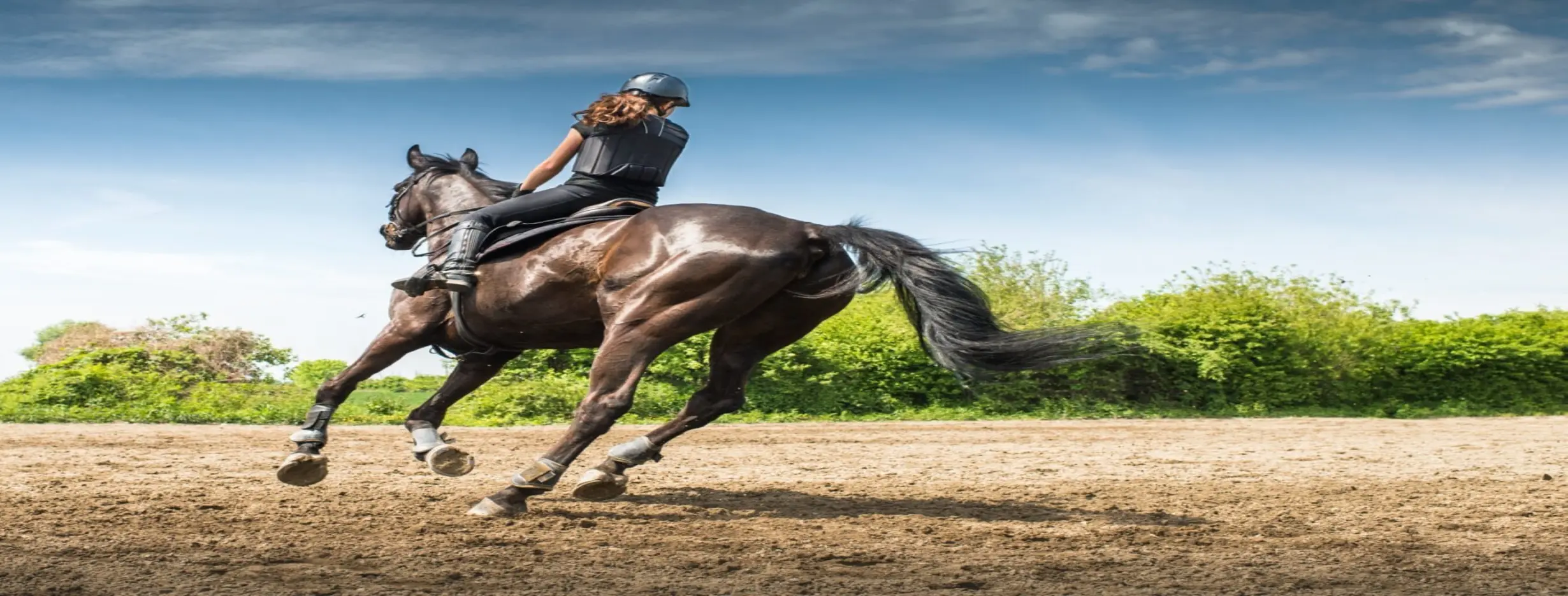 Image for Horseback Riding